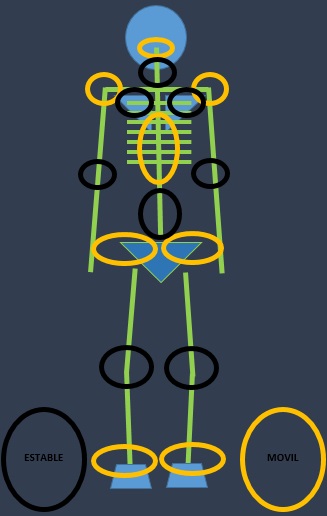 CRÍTICA LEHMAN CONTRERAS 5