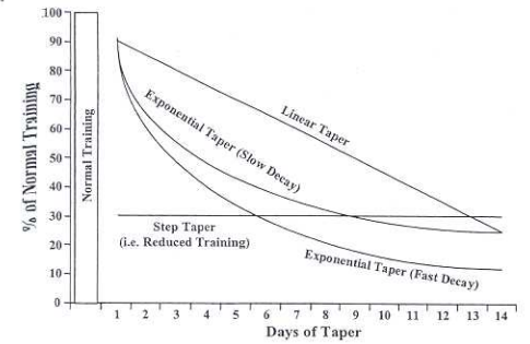 TIPOS DE TAPER